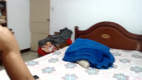 Snapshot of dino_versh chatting on February 22, 11:32 pm dino_versh online show from February 22, 11:32 pm