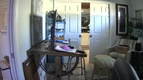 DirtkPitt Fun guy working online show from February 1, 6:40 pm