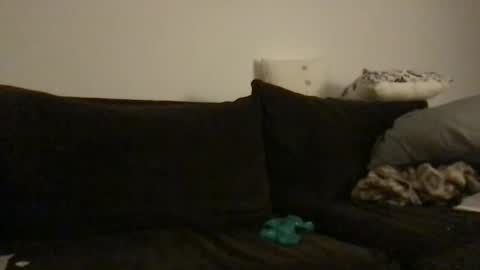 Dizzydig online show from January 7, 7:33 am