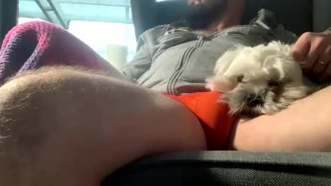 DKdad online show from December 15, 9:17 am