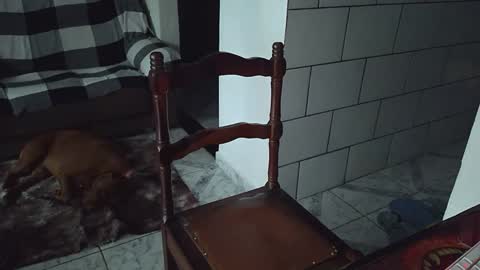 AmigodotadoZL online show from April 25, 8:06 pm