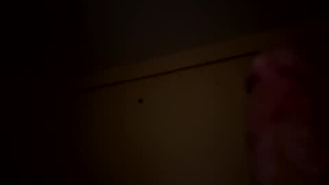 Snapshot of dnice69968127 chatting on February 6, 7:35 am dnice69968127 online show from February 6, 7:35 am