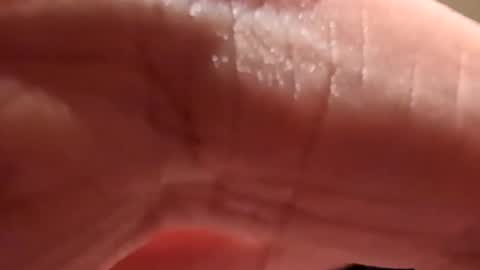 Bigslick online show from January 30, 5:39 pm