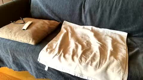 Alfredo online show from February 21, 8:28 am