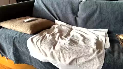 Alfredo online show from February 24, 9:53 am