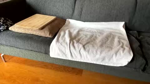 Alfredo online show from October 1, 8:18 am