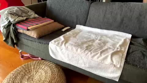 Alfredo online show from September 22, 8:03 am