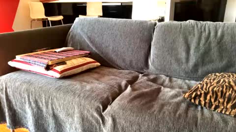 Alfredo online show from February 4, 10:21 am