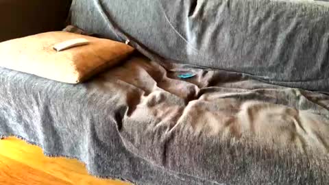 Alfredo online show from February 20, 8:39 am