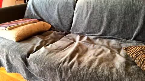 Alfredo online show from February 7, 8:55 am