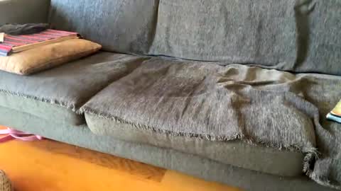 Alfredo online show from September 19, 10:59 am