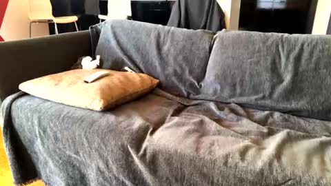 Alfredo online show from March 10, 7:55 am