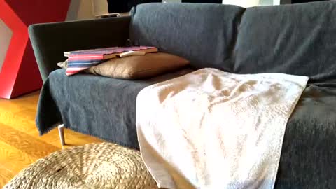 Alfredo online show from February 13, 11:28 am