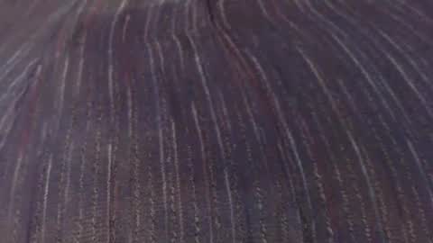 downsouthjohn online show from January 25, 7:07 pm