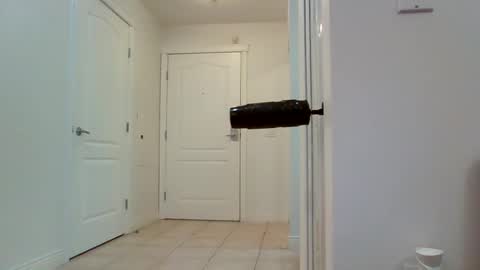 drexx1x online show from December 8, 2:49 am