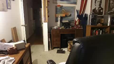 Snapshot of durablewood3 chatting on December 29, 8:11 am durablewood3 online show from December 29, 8:11 am