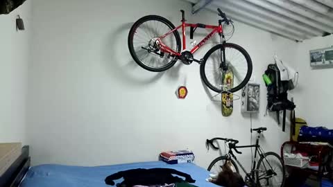 Dustin Dollin online show from December 21, 5:51 pm