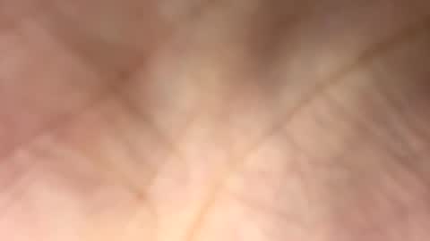 ---DYLAN--- online show from January 17, 8:04 pm