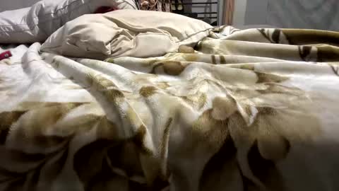 dyno1335 online show from September 29, 8:13 am