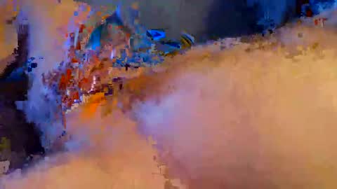 ebert1967 online show from March 6, 12:30 pm