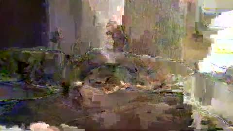 Z online show from March 3, 3:35 pm