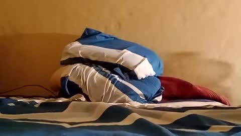 Sebastin online show from February 26, 8:15 am