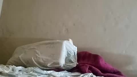 Sebastin online show from February 8, 3:41 am