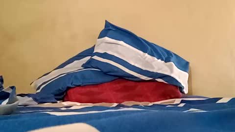 Sebastin online show from February 22, 7:45 am