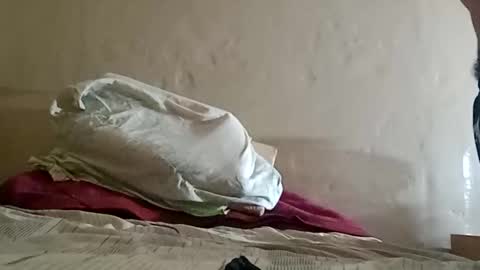 Sebastin online show from February 2, 6:59 am