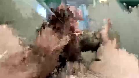 el_taringuero online show from December 14, 6:48 pm