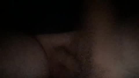 e26 online show from November 1, 11:20 pm