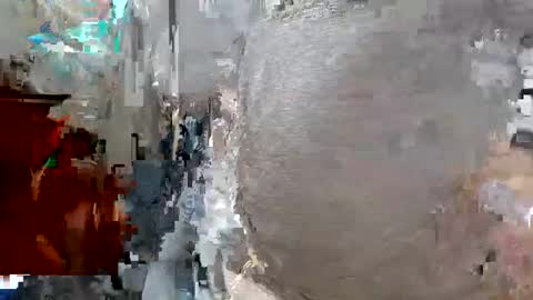 elizabit online show from November 1, 6:50 am