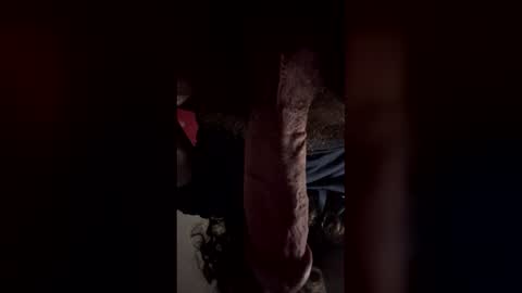 ellj69 online show from March 29, 7:19 am