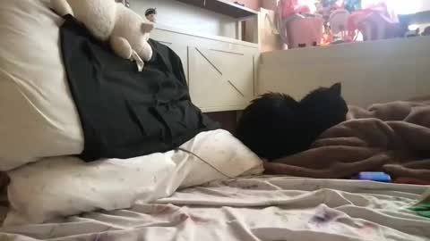 epicstrokesz online show from October 23, 1:58 pm