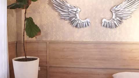 ethan_occonor online show from February 3, 12:43 pm