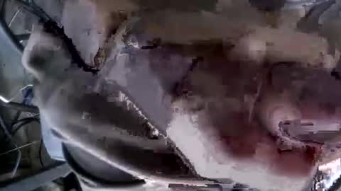 eveline_figeroa3 online show from June 25, 11:15 am