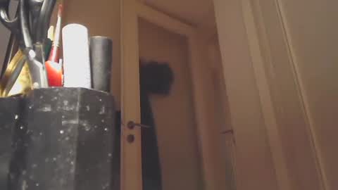 Snapshot of ezcoda chatting on January 26, 10:57 pm EZCODA online show from January 26, 10:57 pm