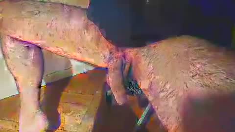 Snapshot of ezcoda chatting on March 6, 2:41 am EZCODA online show from March 6, 2:41 am