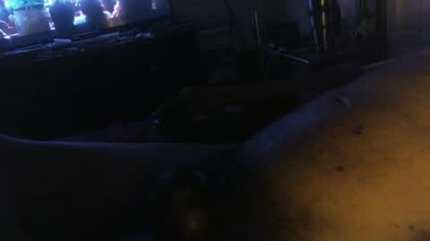 ezeddie2015 online show from November 16, 2:14 am