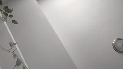 Snapshot of fairyboycvm chatting on October 23, 5:05 pm fairyboycvm online show from October 23, 5:05 pm