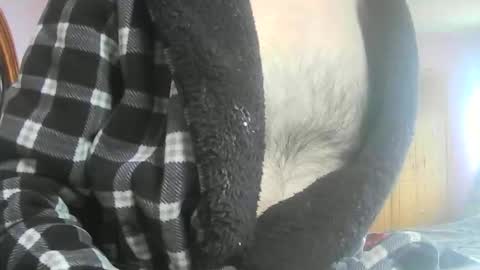 feardubh online show from February 20, 11:34 am