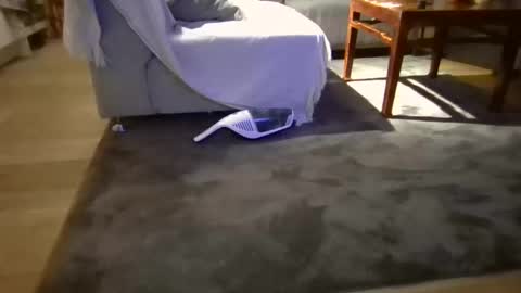 feetkk2 online show from February 23, 3:30 am