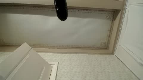 femboy710cum online show from January 12, 9:52 pm