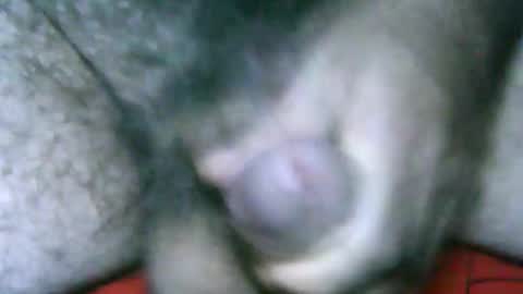 fer_2197 online show from January 2, 12:46 pm