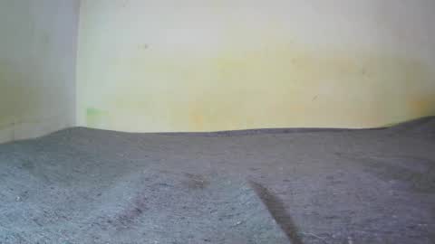 Fern Tlk online show from February 9, 7:41 pm