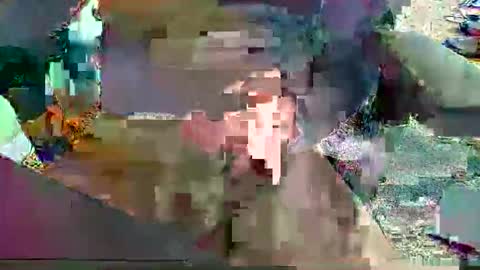 flphlover69384566 online show from November 10, 6:57 pm