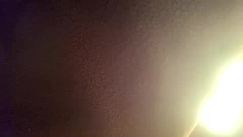 fordfocusz online show from December 19, 4:45 am