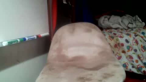 forestnymphpdx online show from December 21, 5:26 am