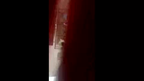 forward331 online show from April 10, 1:51 pm