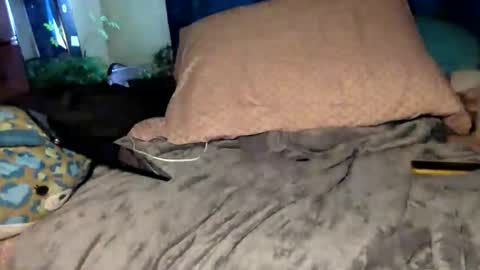 Squirrel twink online show from March 29, 1:33 pm